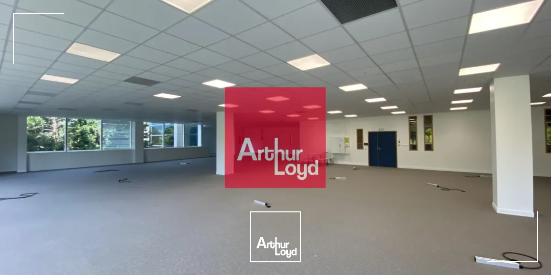 Bureaux - Location - EYBENS - 38320 - 249.68-914.23 - 7772405