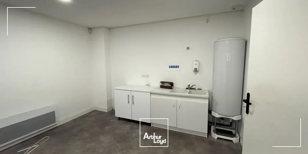 Locaux d'activité & Entrepôts - Vente - LES SORINIERES - 44840 - 810-810 - 7774103