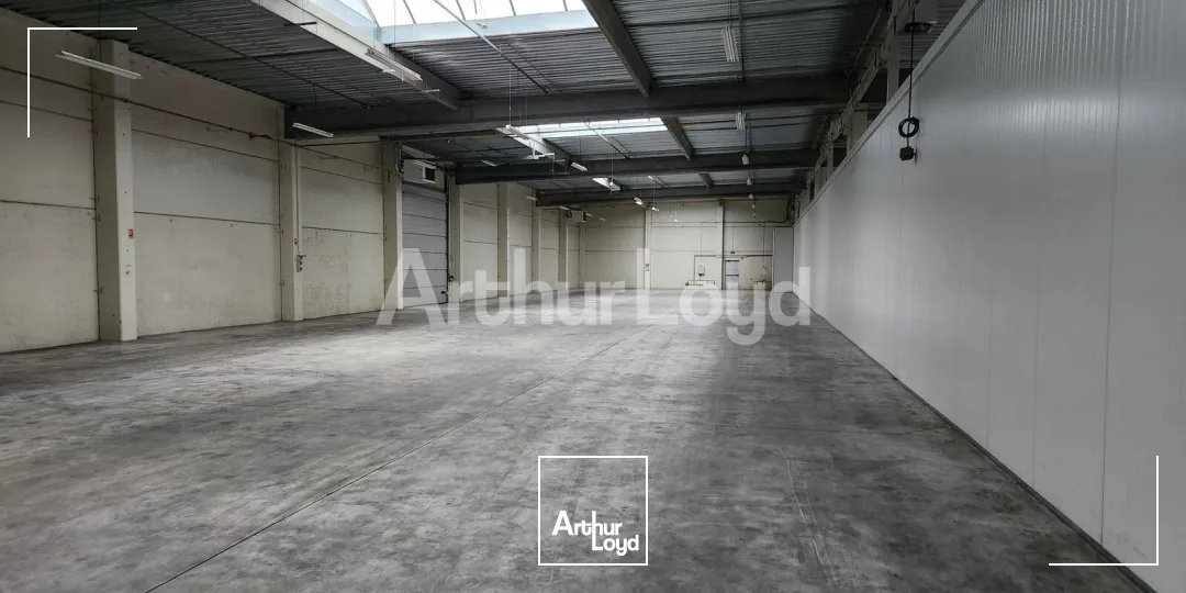 Locaux d'activité & Entrepôts - Location - SECLIN - 59113 - 476-3482 - 7774267