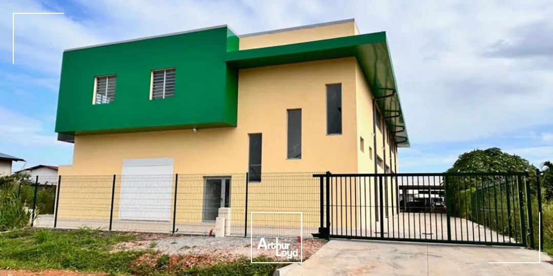 Bureaux - Location - Cayenne - 97300 - 168-168 - 7774423