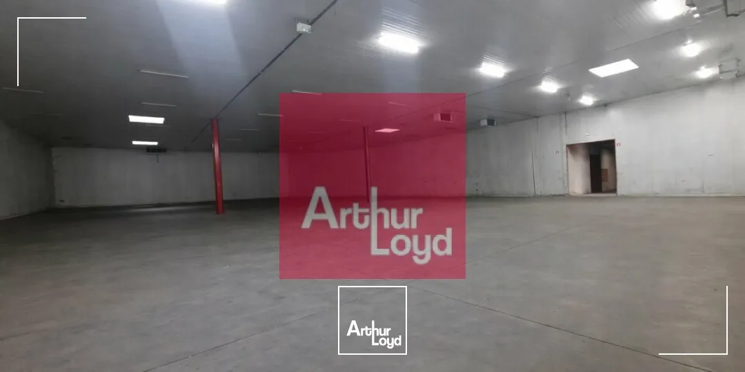 Locaux d'activité & Entrepôts - Location - COURNON D'AUVERGNE - 63800 - 1785-1785 - 7774579