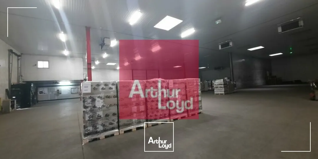 Locaux d'activité & Entrepôts - Location - COURNON D'AUVERGNE - 63800 - 1785-1785 - 7774580