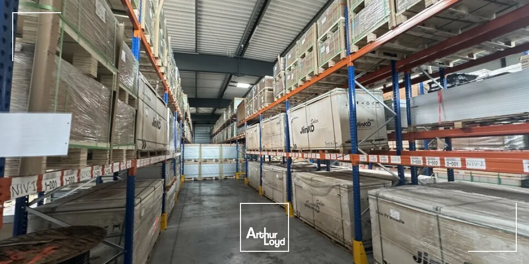 Locaux d'activité & Entrepôts - Vente - CHANCEAUX SUR CHOISILLE - 37390 - 1645-1645 - 7774703