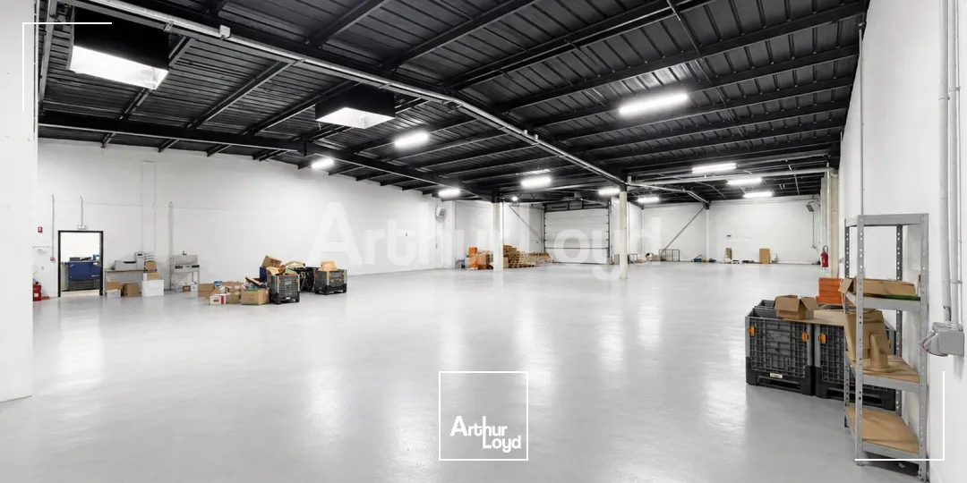 Locaux d'activité & Entrepôts - Location - TRITH SAINT LEGER - 59125 - 738-738 - 7775197
