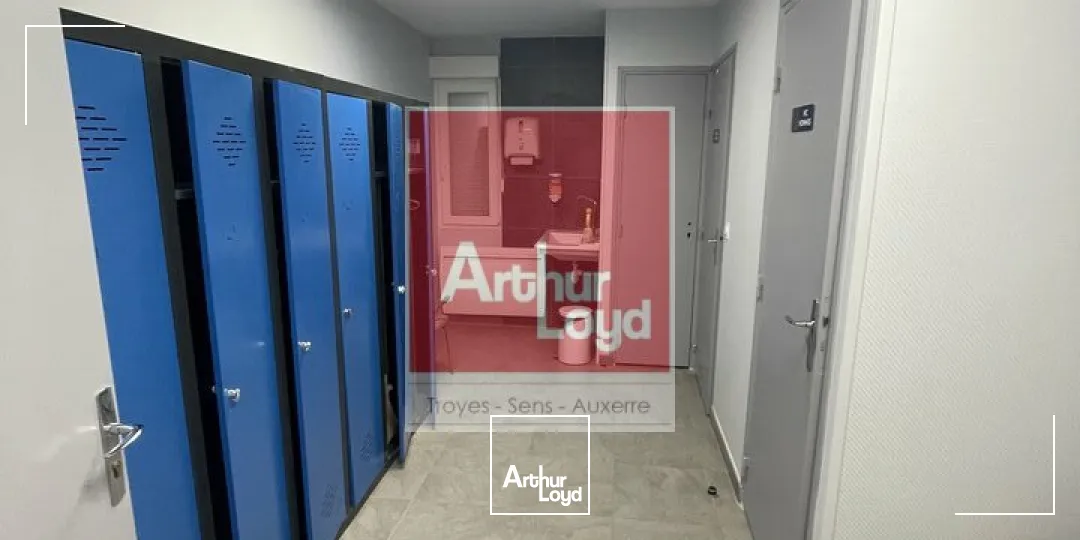 Locaux d'activité & Entrepôts - Vente - MALAY-LE-GRAND - 89100 - 665-665 - 7776532