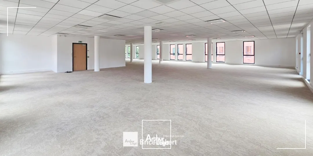 Bureaux - Location - CALUIRE ET CUIRE - 69300 - 243.7-2765.7 - 7777160