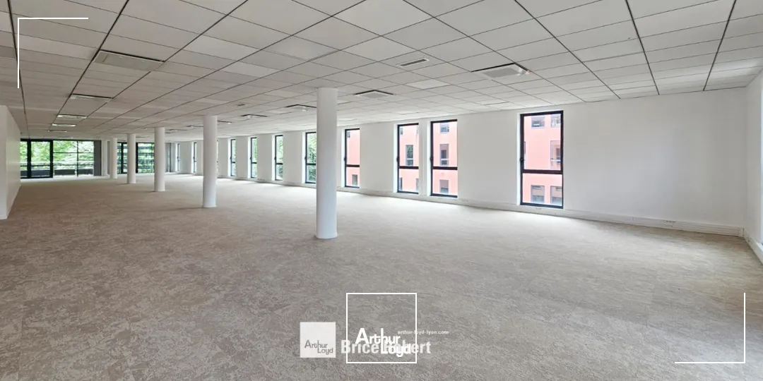 Bureaux - Location - CALUIRE ET CUIRE - 69300 - 243.7-2765.7 - 7777161