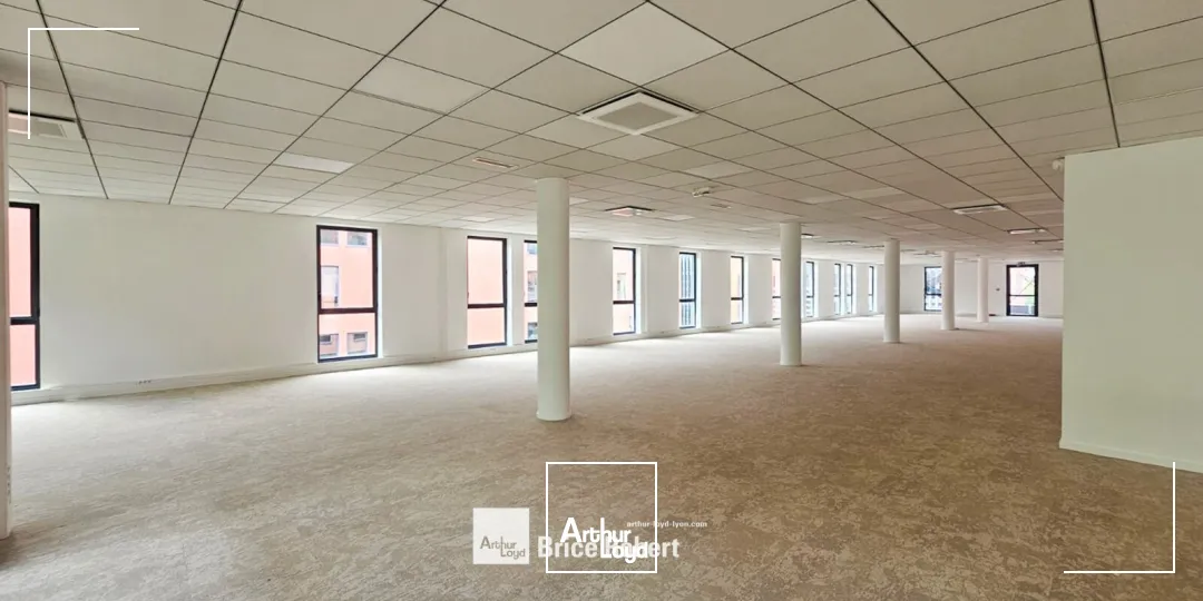Bureaux - Location - CALUIRE ET CUIRE - 69300 - 243.7-2765.7 - 7777164