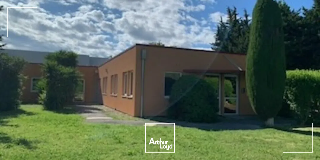 Bureaux - Vente - AVIGNON - 84000 - 304-304 - 7777346