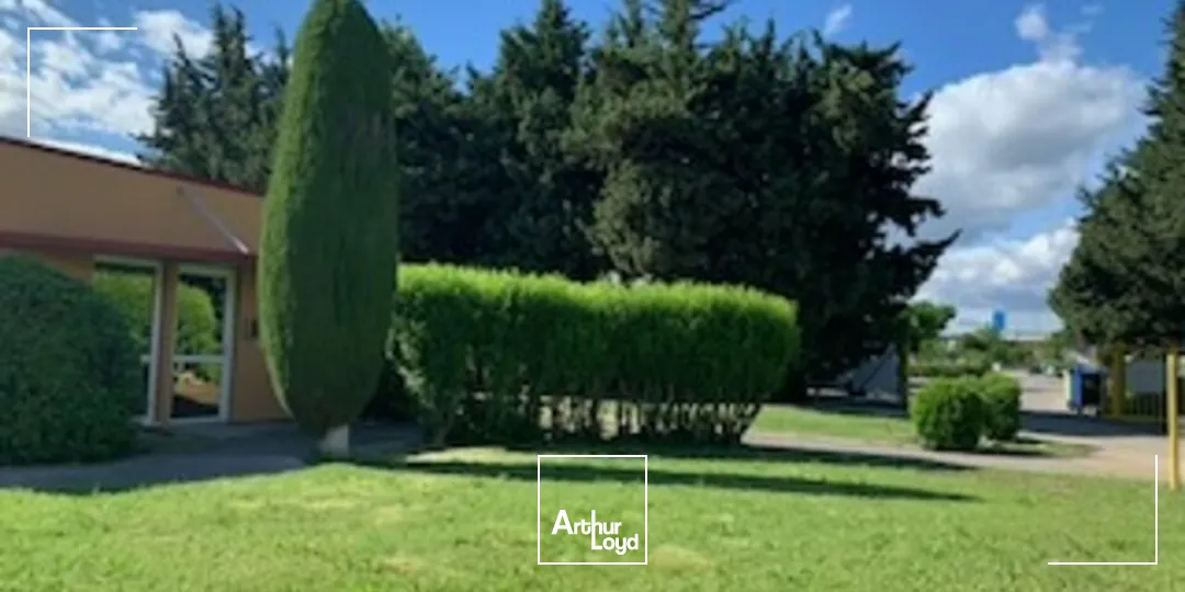 Bureaux - Vente - AVIGNON - 84000 - 304-304 - 7777347