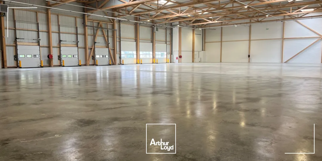 Locaux d'activité & Entrepôts - Location - TREMBLAY EN FRANCE - 93290 - 2482-5761 - 7777897