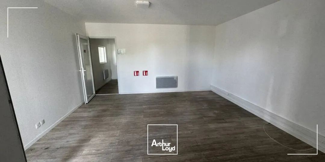Locaux d'activité & Entrepôts - Location - BALLAN MIRE - 37510 - 250-250 - 7778431