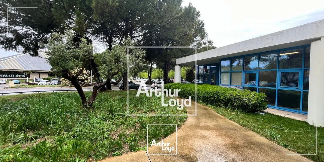 Locaux d'activité & Entrepôts - Location - NIMES - 30900 - 455-455 - 7778535