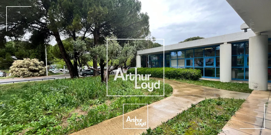Locaux d'activité & Entrepôts - Location - NIMES - 30900 - 455-455 - 7778537
