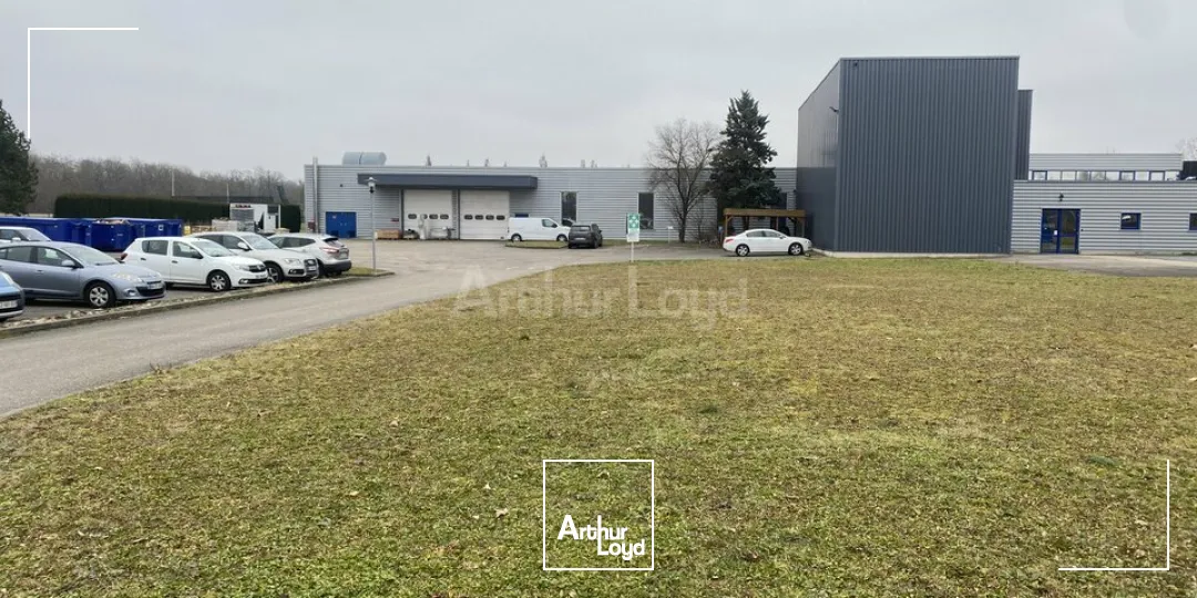 Bureaux - Location - PULVERSHEIM - 68840 - 50-157 - 7779244