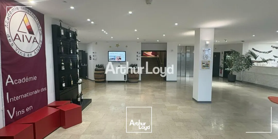 Bureaux - Location - LANDERSHEIM - 67700 - 50-100 - 7780208