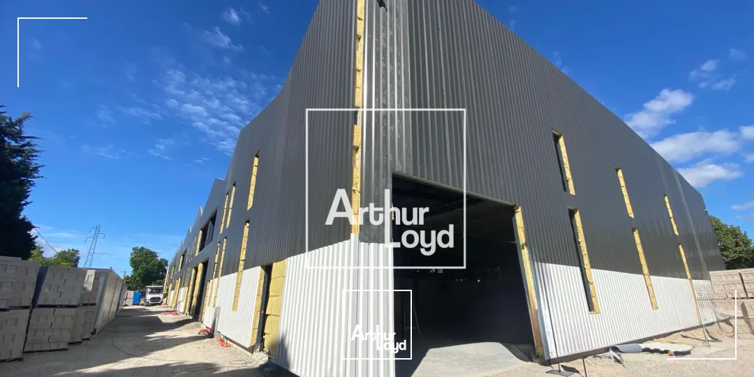Locaux d'activité & Entrepôts - Location - LATTES - 34970 - 244-244 - 7780334