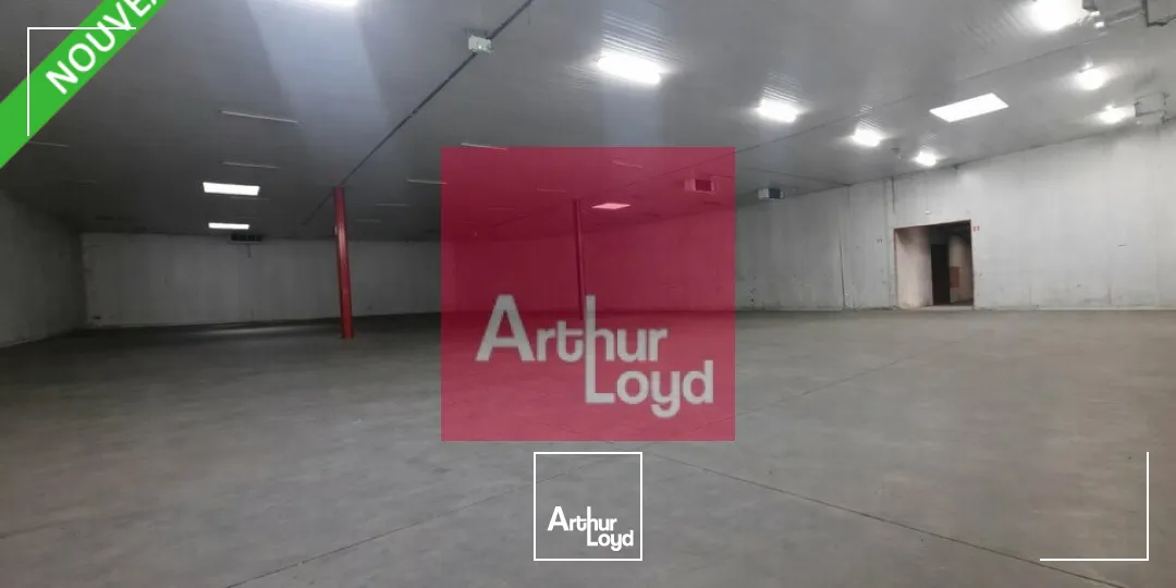 Locaux d'activité & Entrepôts - Location - COURNON D'AUVERGNE - 63800 - 1785-1785 - 7782107