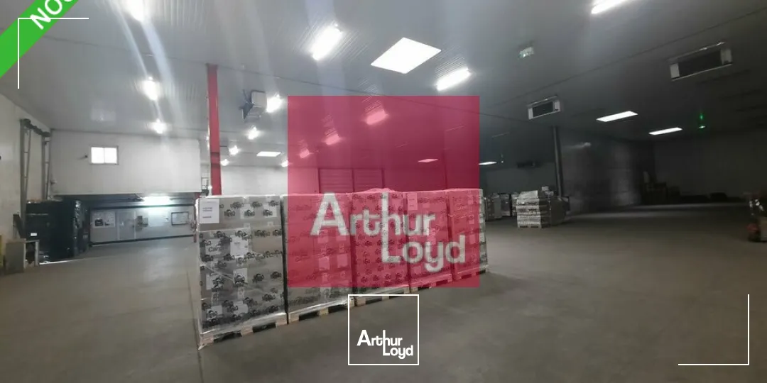 Locaux d'activité & Entrepôts - Location - COURNON D'AUVERGNE - 63800 - 1785-1785 - 7782108