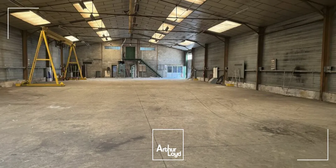 Locaux d'activité & Entrepôts - Vente - SAINT-PIERRE-DES-CORPS - 37700 - 1064-1064 - 7782291