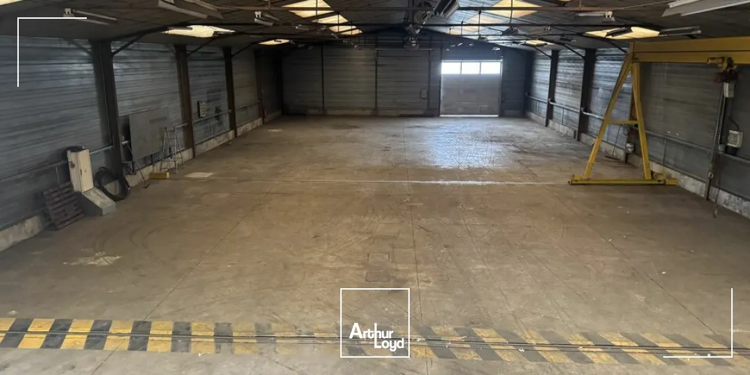 Locaux d'activité & Entrepôts - Vente - SAINT-PIERRE-DES-CORPS - 37700 - 1064-1064 - 7782292