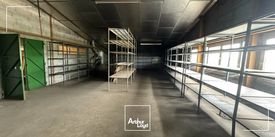 Locaux d'activité & Entrepôts - Vente - SAINT-PIERRE-DES-CORPS - 37700 - 1064-1064 - 7782295