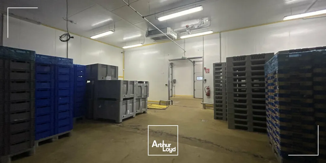 Locaux d'activité & Entrepôts - Vente - SARREGUEMINES - 57200 - 7633-7633 - 7783131