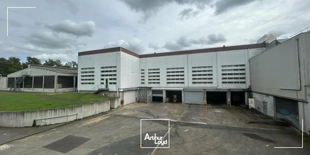 Locaux d'activité & Entrepôts - Vente - SARREGUEMINES - 57200 - 7633-7633 - 7783128