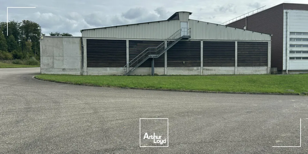 Locaux d'activité & Entrepôts - Vente - SARREGUEMINES - 57200 - 7633-7633 - 7783127