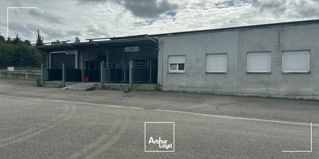 Locaux d'activité & Entrepôts - Vente - SARREGUEMINES - 57200 - 7633-7633 - 7783126