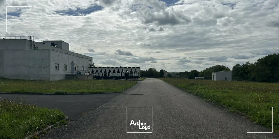 Locaux d'activité & Entrepôts - Vente - SARREGUEMINES - 57200 - 7633-7633 - 7783125