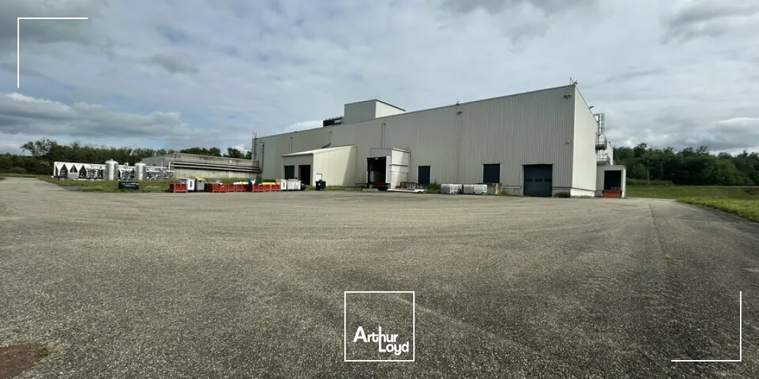 Locaux d'activité & Entrepôts - Vente - SARREGUEMINES - 57200 - 7633-7633 - 7783124