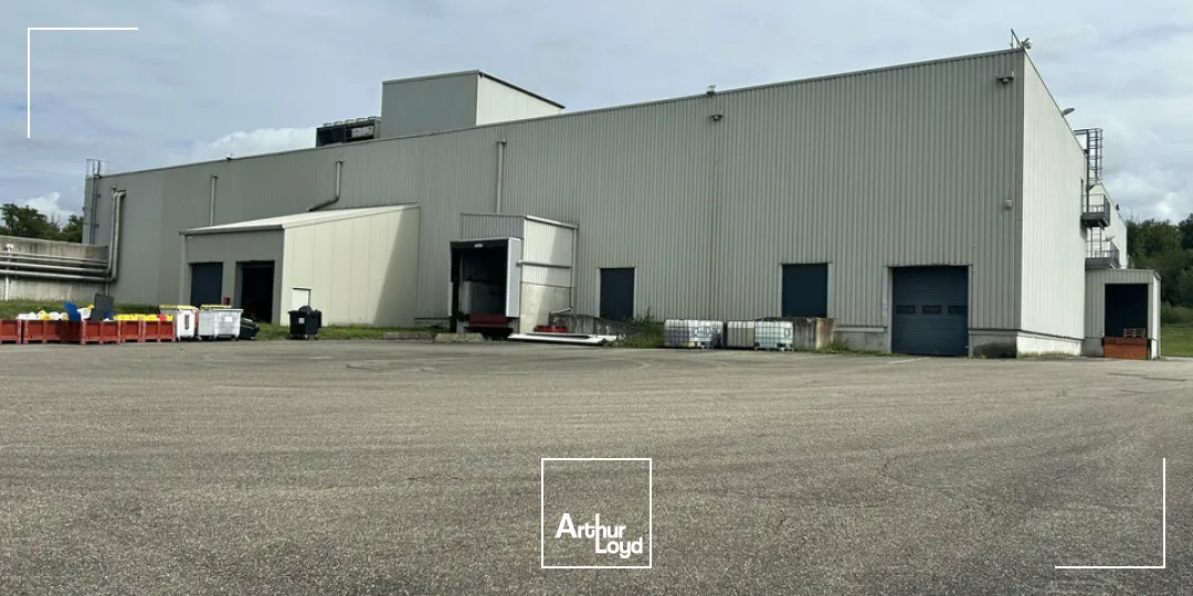 Locaux d'activité & Entrepôts - Vente - SARREGUEMINES - 57200 - 7633-7633 - 7783123