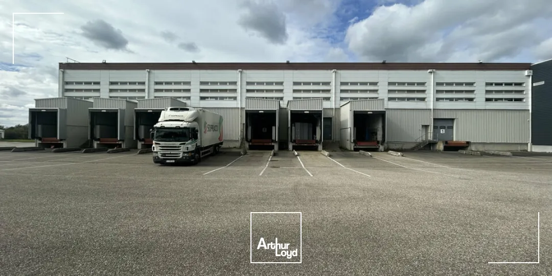 Locaux d'activité & Entrepôts - Vente - SARREGUEMINES - 57200 - 7633-7633 - 7783122