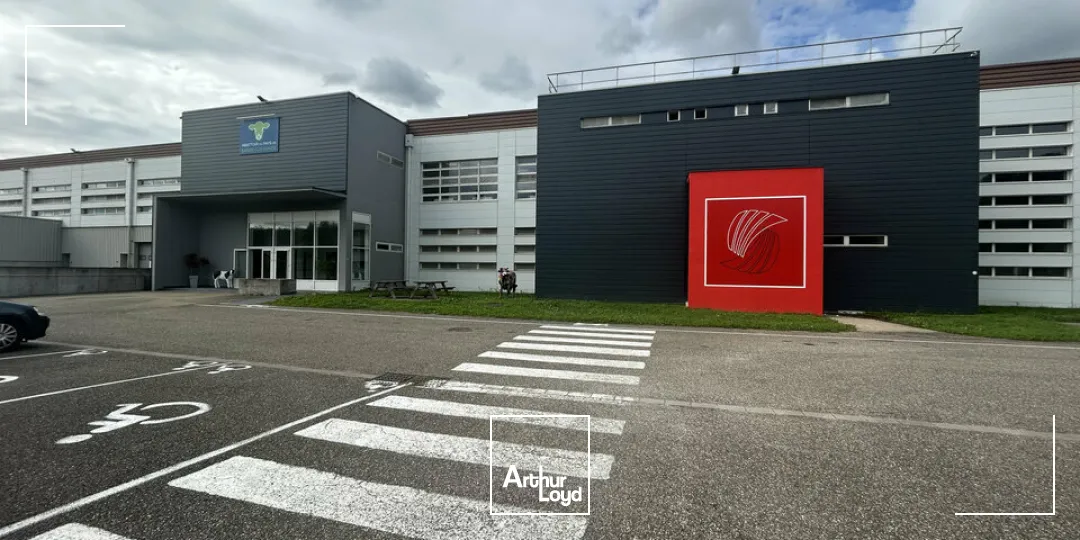 Locaux d'activité & Entrepôts - Vente - SARREGUEMINES - 57200 - 7633-7633 - 7783121