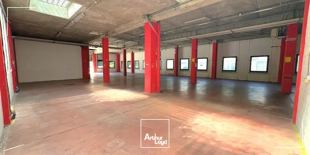Locaux d'activité & Entrepôts - Location - MARSEILLE - 13009 - 54-2926 - 7783756