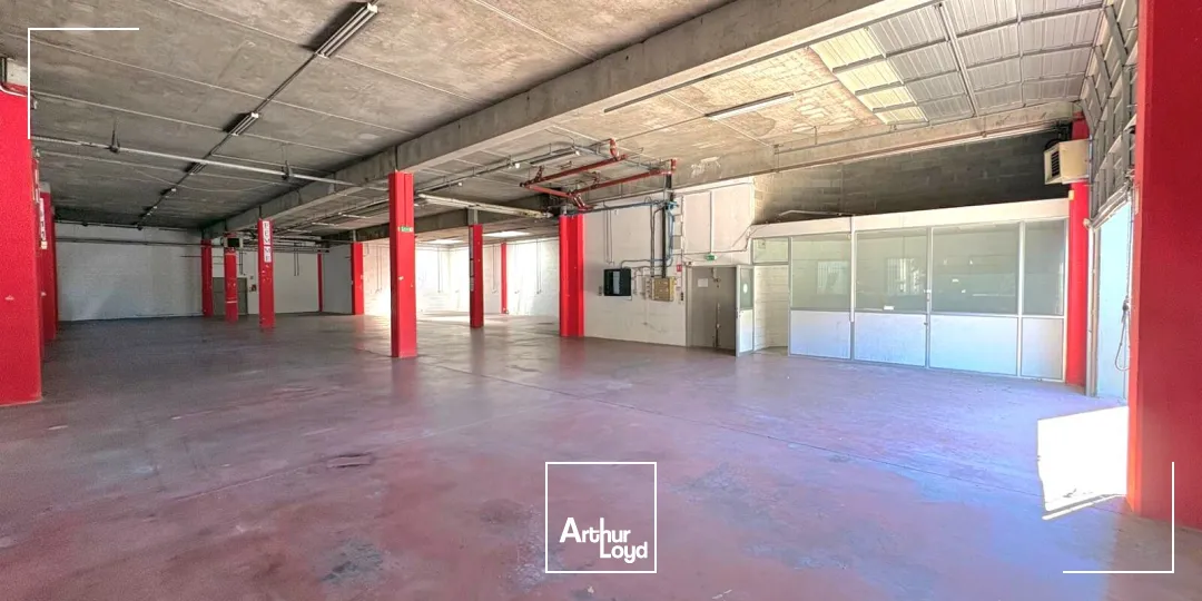Locaux d'activité & Entrepôts - Location - MARSEILLE - 13009 - 54-2926 - 7783757