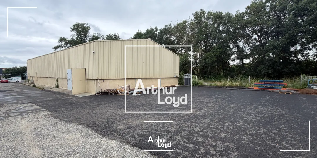 Locaux d'activité & Entrepôts - Location - SAINT ORENS DE GAMEVILLE - 31650 - 450-450 - 7783940