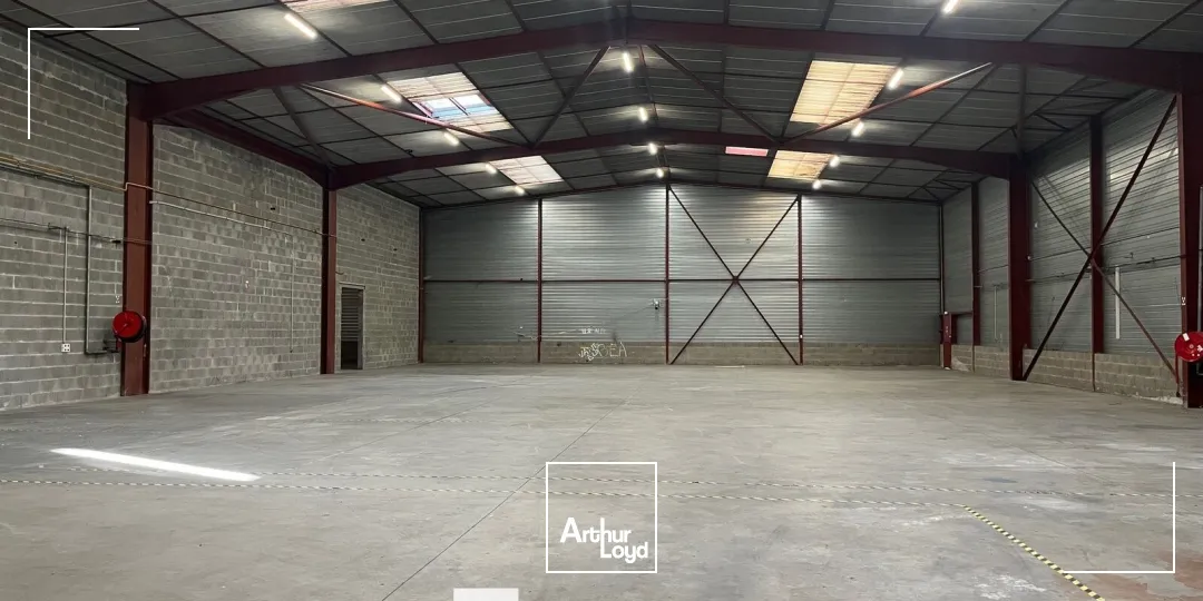 Locaux d'activité & Entrepôts - Location - MEYZIEU - 69330 - 982-1968 - 7784054