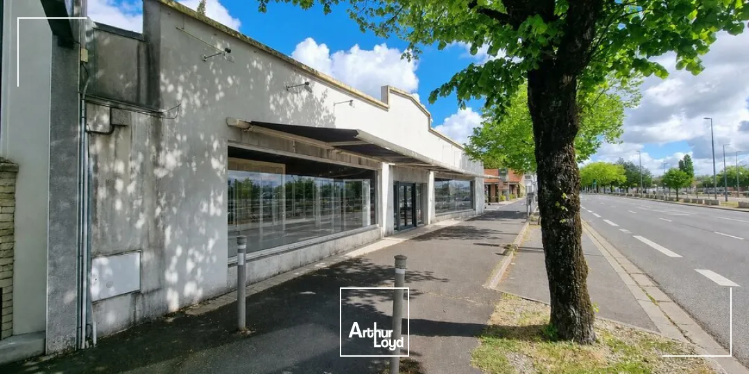 Locaux commerciaux - Location - NIORT - 79000 - 252-252 - 7784248