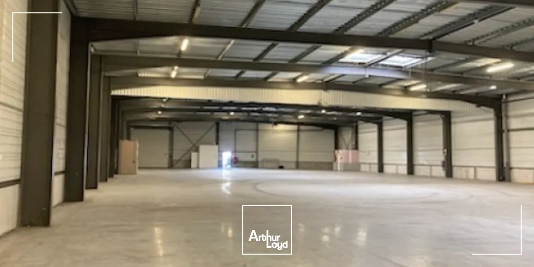 Locaux d'activité & Entrepôts - Location - LE HAILLAN - 33185 - 2000-3470 - 7784380