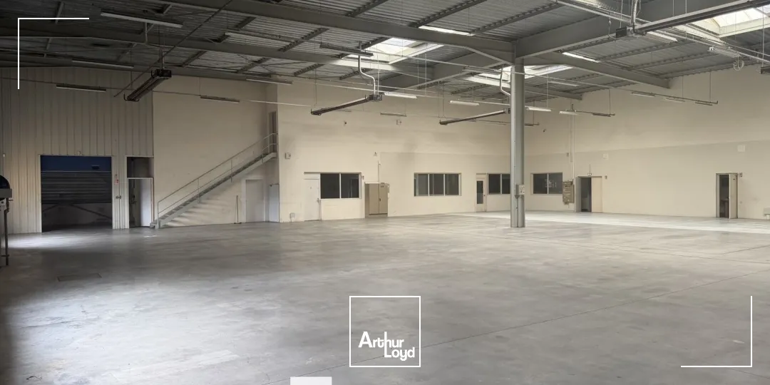 Locaux d'activité & Entrepôts - Location - CHASSIEU - 69680 - 1290-1290 - 7784882