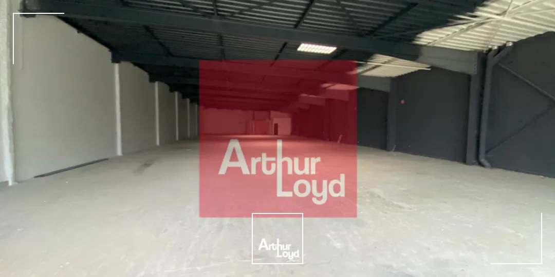 Locaux commerciaux - Location - AUCH - 32000 - 740-740 - 7784970