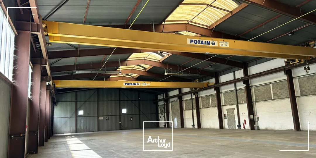 Locaux d'activité & Entrepôts - Vente - MULHOUSE - 68200 - 4552-4552 - 7785053