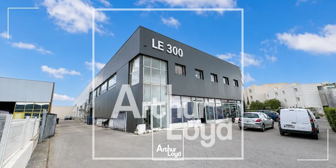 Bureaux - Location - MAUGUIO - 34130 - 40-600 - 7785363