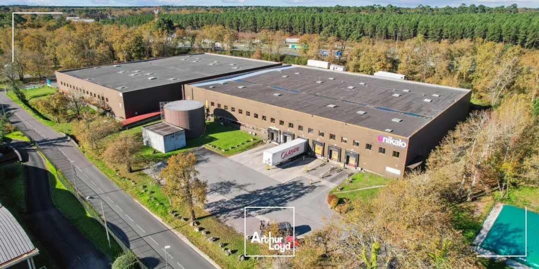 Locaux d'activité & Entrepôts - Location - CANEJAN - 33610 - 4420-8927 - 7785485