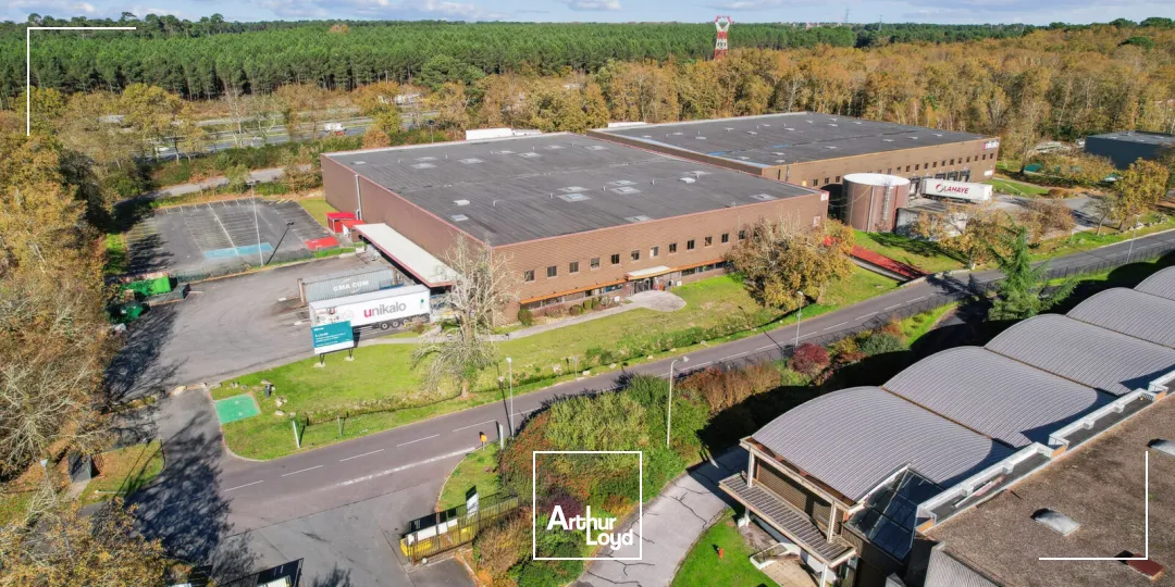Locaux d'activité & Entrepôts - Location - CANEJAN - 33610 - 4420-8927 - 7785486