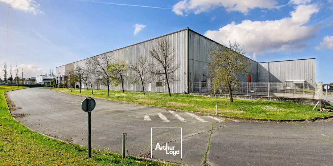 Locaux d'activité & Entrepôts - Location - AMBARES ET LAGRAVE - 33440 - 13664-13664 - 7785493