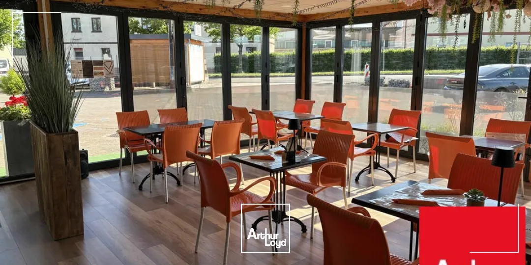 Locaux d'activité & Entrepôts - Vente - SARRE-UNION - 67260 - 653-653 - 7786020
