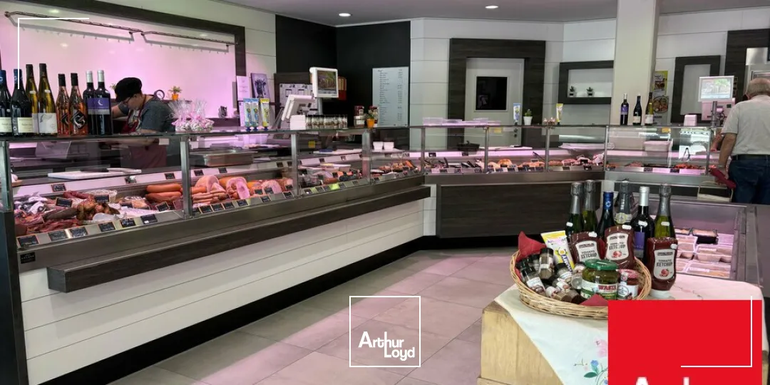 Locaux d'activité & Entrepôts - Vente - SARRE-UNION - 67260 - 653-653 - 7786025